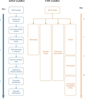 Application of metagenomic next-generation sequencing in the detection of pathogens in bronchoalveolar lavage fluid of infants with severe pneumonia after congenital heart surgery